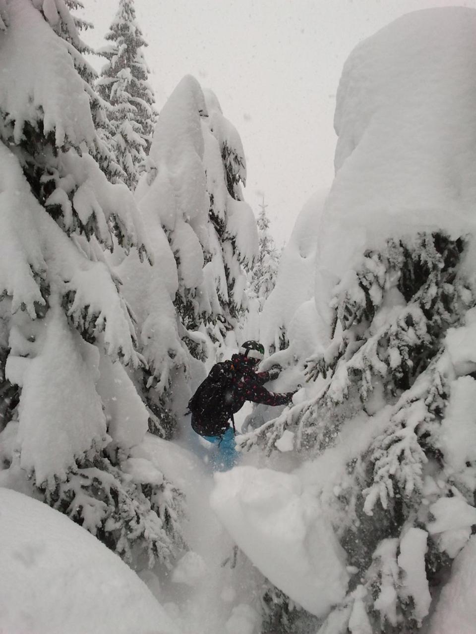 Alpenferienwohnung Strickner Neustift im Stubaital Exteriér fotografie